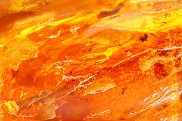 Amber. Two pieces of a yellow fossil natural mineral on a white background. Macro shot. Semi-precious mineral. Sun stone. Copal. Amber texture. Frozen ancient resin. Material for jewelers. Amber of unusual shape and color. Patterns