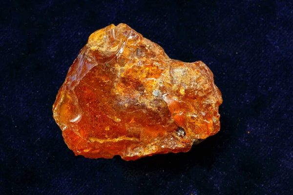 Yellow amber on a dark blue background. A piece of fossil ancient resin. Natural mineral for jewelry. Copal. Sun stone. Semi-precious crystal. Natural amber crust. Amber raw materials