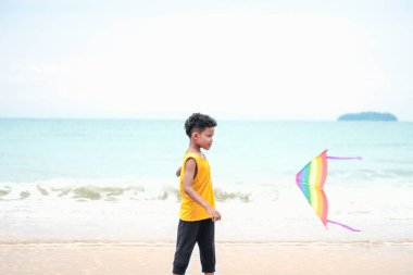 Tatlı çocuk kumlu yaz kumsalında mavi denizle eğleniyor. Mutlu çocukluk çocuğu tropik plajda renkli uçurtma oynuyor.