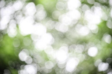 Doğa üzerine soyut yeşil bokeh ışığı arka plan, güneş ışığı altında bulanık yeşil yaprak arka plan 