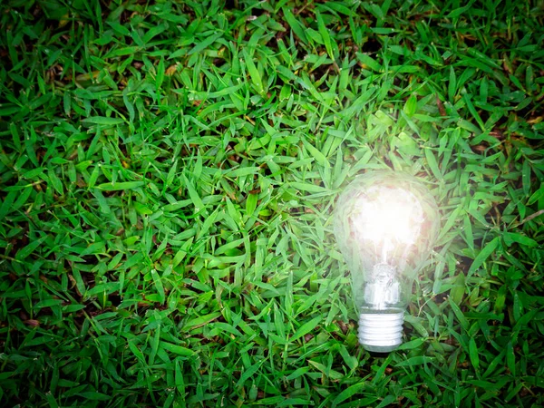 Light bulb on green grass, energy-saving, save the world, love and  protect our planet, environmental  friendly concept