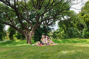 Mutlu iki güzel Asyalı kadın doğa yeşili parkta piknik yapıyor. Piknik sırasında dışarıda müzik dinlemek için kulaklıklı yakın arkadaşlar. Rahatlayan insanlar doğal ortamlarda birlikte vakit geçirirler..