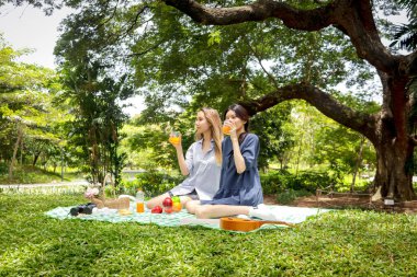İki mutlu gülümseyen güzel Asyalı kadın yeşil parkta piknik yapıyor. Yakın arkadaş olduğumuz kızlar piknik sırasında dışarıda portakal suyu içerler. İnsanlar doğada birlikte vakit geçiriyorlar..