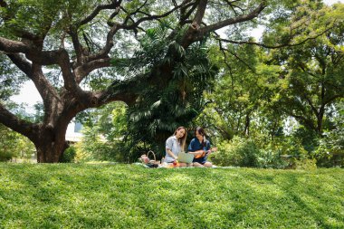 İki güzel Asyalı kadın yeşil parkta piknik yapıyor. Yakın arkadaş kızlar dizüstü bilgisayar kullanır, ukulele çalar ve açık hava pikniğinde şarkı söyler. İnsanlar doğada birlikte vakit geçirirler.
