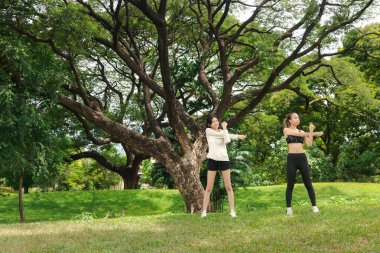 Spor giyimli iki Asyalı kadın doğa yeşil parkında vücut esnetiyorlar. Spor kankası kızlar yeşil bahçede spor yapar. Sportif kız, doğada partnerle sağlıklı egzersiz yapar..