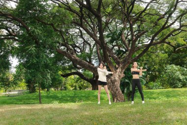 Spor giyimli iki Asyalı kadın doğa yeşil parkında vücut esnetiyorlar. Spor kankası kızlar yeşil bahçede spor yapar. Sportif kız, doğada partnerle sağlıklı egzersiz yapar..