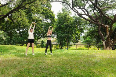 Spor giyimli iki Asyalı kadın doğa yeşil parkında vücut esnetiyorlar. Spor kankası kızlar yeşil bahçede spor yapar. Sportif kız, doğada partnerle sağlıklı egzersiz yapar..