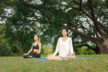 Spor giyimli iki Asyalı kadın parkta meditasyon yapıyor. Neşeli spor arkadaşı kadınlar yeşil bahçede spor yapıyor. Sportif kız yoga yapıyor. Sağlıklı egzersiz. Ortama uyum sağlıyor..