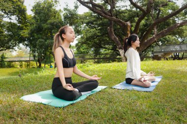 Spor giyimli iki Asyalı kadın parkta meditasyon yapıyor. Neşeli spor arkadaşı kadınlar yeşil bahçede spor yapıyor. Sportif kız yoga yapıyor. Sağlıklı egzersiz. Ortama uyum sağlıyor..