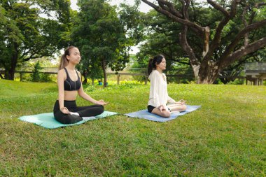 Spor giyimli iki Asyalı kadın parkta meditasyon yapıyor. Neşeli spor arkadaşı kadınlar yeşil bahçede spor yapıyor. Sportif kız yoga yapıyor. Sağlıklı egzersiz. Ortama uyum sağlıyor..