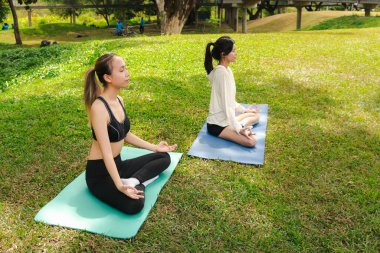 Spor giyimli iki Asyalı kadın parkta meditasyon yapıyor. Neşeli spor arkadaşı kadınlar yeşil bahçede spor yapıyor. Sportif kız yoga yapıyor. Sağlıklı egzersiz. Ortama uyum sağlıyor..