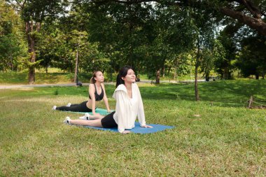 Spor kıyafetli iki Asyalı kadın parkta yoga minderinde vücut esnetiyorlar. Spor kankası olan kadınlar yeşil bahçede spor yapar. Sportif kız yoga yapıyor. Sağlıklı egzersiz. Doğada eşi var..