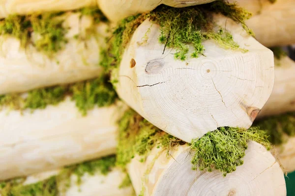 Wooden log house with moss insulation