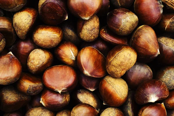 Chestnut fruits on the counter in the store. Close-up. View from above