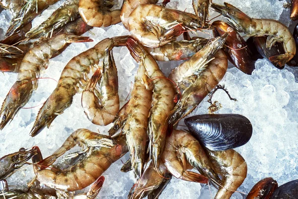 Commerce Crevettes Fruits Mer Sur Comptoir Dans Magasin — Photo