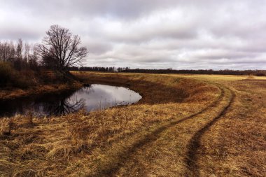 Çayırı ve nehri gören sonbahar manzarası. Kırsal kesimde kasvetli yağmur öncesi gökyüzü. Renkli fotoğraf