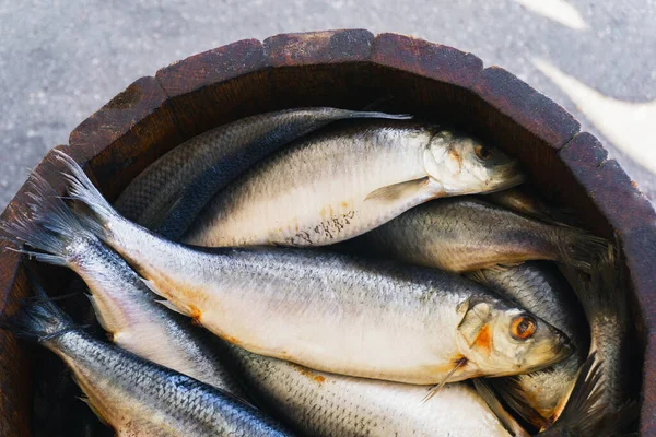 Poisson Dans Tonneau Bois Hareng Salé Marché Aux Fruits Mer — Photo