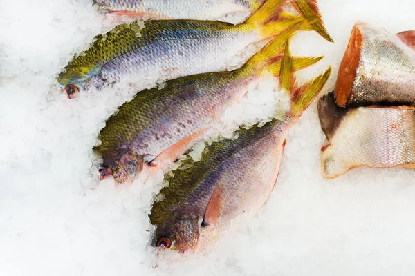 店のカウンターの上に氷の中の海魚 魚介類の取引 — ストック写真