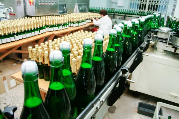 A conveyor with champagne bottles at a sparkling wine factory. Wine production on an industrial scale. Selective focus.