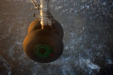 Sibirya'da iniş sırasında serbest iniş uçak. Kauçuk Tekerlekler ve iniş takımı kış Tayga üzerinde. Rusya