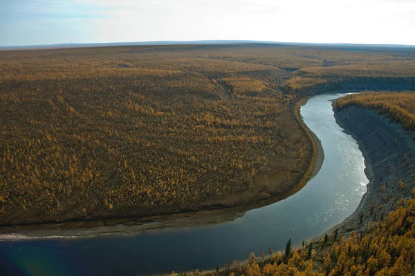 Autunno Taiga Siberia Larice Foresta Fiume Nel Nord Della Siberia — Foto Stock