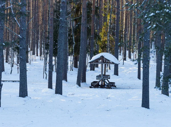 Τροφοδότης ελαφιών στο χειμερινό δάσος — Φωτογραφία Αρχείου
