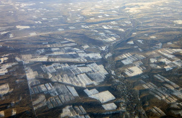 Duidelijk snijden in de taiga van de regio Irkoetsk — Stockfoto