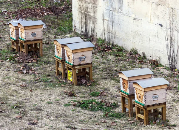 Bee houses - beehives, exhibited in spring.