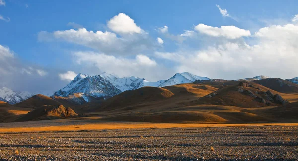 Kırgızistan Daki Tien Shan Eteklerindeki Steppe Otlakları Asya Ülkesinin Sınır — Stok fotoğraf