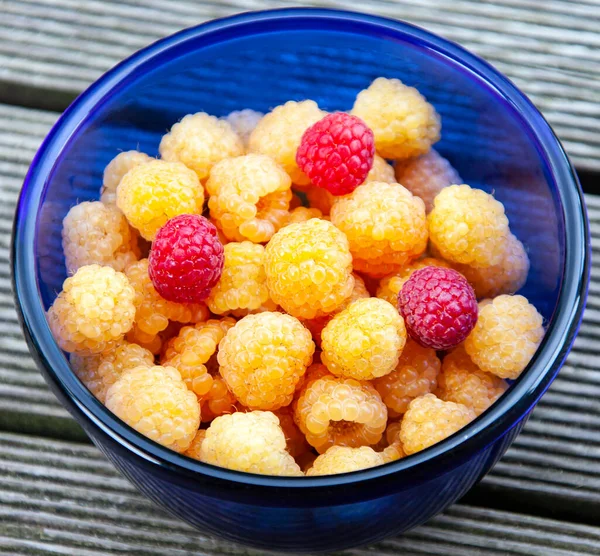 Yellow and red raspberries in a blue Cup. Garden raspberries of yellow and red varieties in a blue glass container.