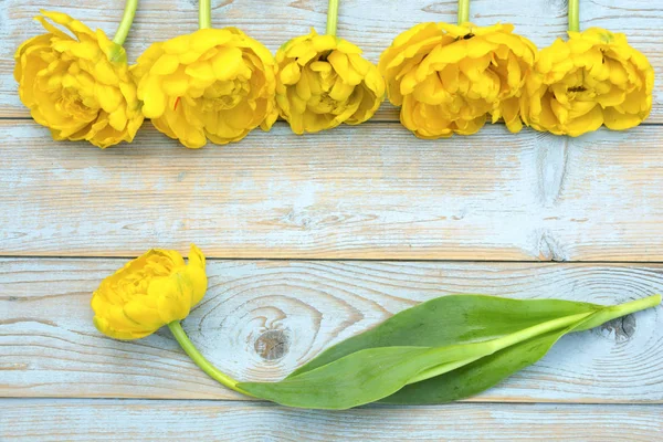 Gelbe Frische Tulpen Einer Randlinie Auf Einem Leeren Kopierraum Alten — Stockfoto
