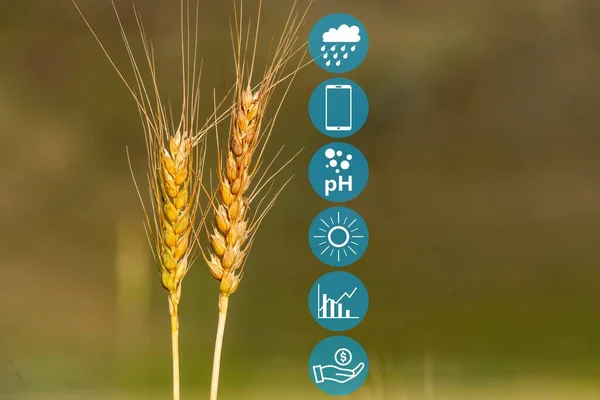 modern and smart agriculture applications