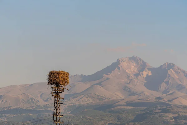 A large nest with storks on a road post. Family of birds. Blue sky. landscape of mountains in winter with blue sky background. at home family concept.