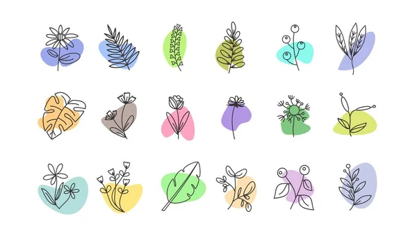 Elementos Florales Garabatos Dibujados Mano Tema Primavera Verano Vector Botánico — Archivo Imágenes Vectoriales