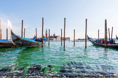 Venedik, İtalya 'daki Venedik gölünün arka planında Gondolas ve San Giorgio Maggiore Adası var.