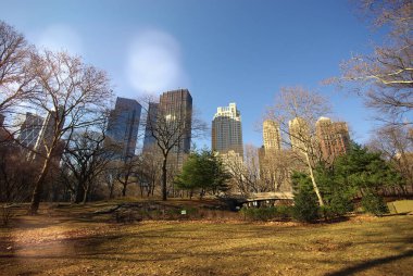 New York, ABD 'deki Central Park' ta sonbahar renkleri
