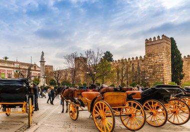 At arabaları Endülüs, İspanya 'da Sevilla' da triomphe 'yi gösteriyor.