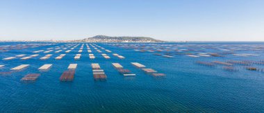 Fransa 'nın Occitania kentindeki Herault' daki Thau göleti üzerindeki Bouzigues 'deki istiridye masalarının panoraması.