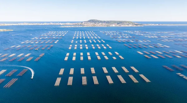 Panorama Der Austerntische Bouzigues Thau Teich Herault Okzitanien Frankreich — Stockfoto