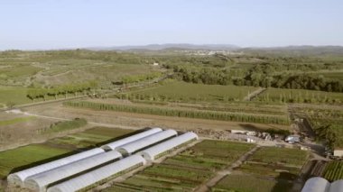 Bir yaz sabahı Fransa 'nın Occitanie kentindeki Herault' da bir kreşin hava panoramik görüntüsü