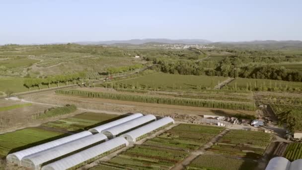 Veduta Aerea Panoramica Vivaio Una Mattina Estate Herault Occitanie Francia — Video Stock