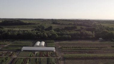 Bir yaz sabahı Fransa 'nın Occitanie kentindeki Herault' da bir kreşin hava panoramik görüntüsü