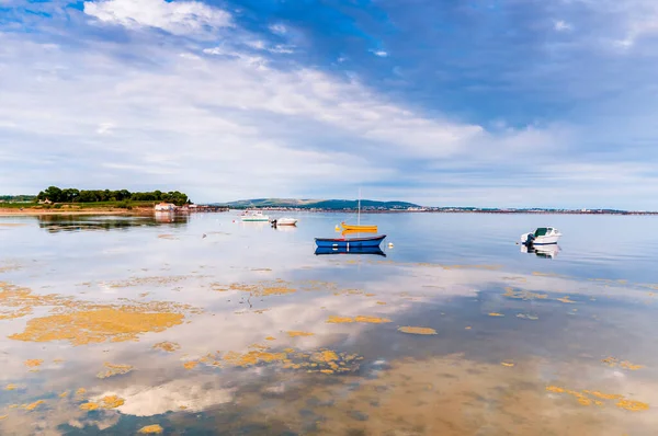 Panorama Dello Stagno Thau Meze Nella Regione Herault Occitanie Francia — Foto Stock