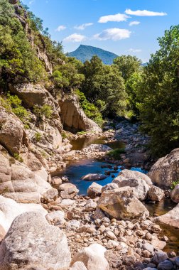 Haut-Languedoc 'ta Olargues yakınlarında Herault, Occitanie, Fransa