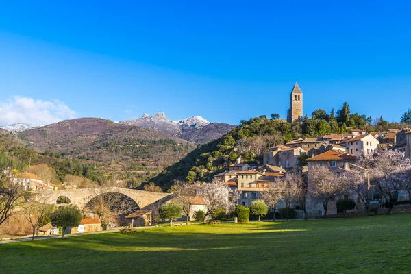 Eski Ortaçağ Köyü Olargues Herault Languedoc Occitanie Fransa — Stok fotoğraf