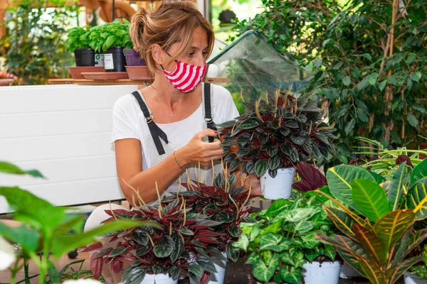 woman with mask works in a plant nursery - woman with mask with a flower pot in her hand