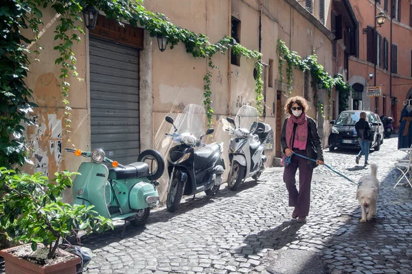 ROMA, İtalya - 01.2020 Bir kadın köpeğini Roma, İtalya 'da kaldırımlı bir sokakta gezdiriyor..