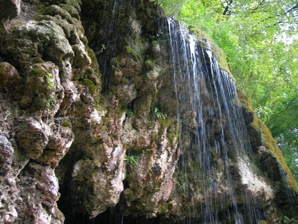 Wasserfall Bergwald — Stockfoto