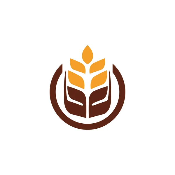 Búza Logó Pékség Szimbólum Búza Mezőgazdaság — Stock Vector
