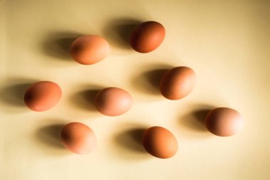 Sarı arka planda sekiz kahverengi yumurta, uzun gölgeler, doğal ışık, yatay çekim